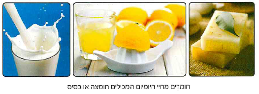 (בספר תמונה, היעזר במנחה)